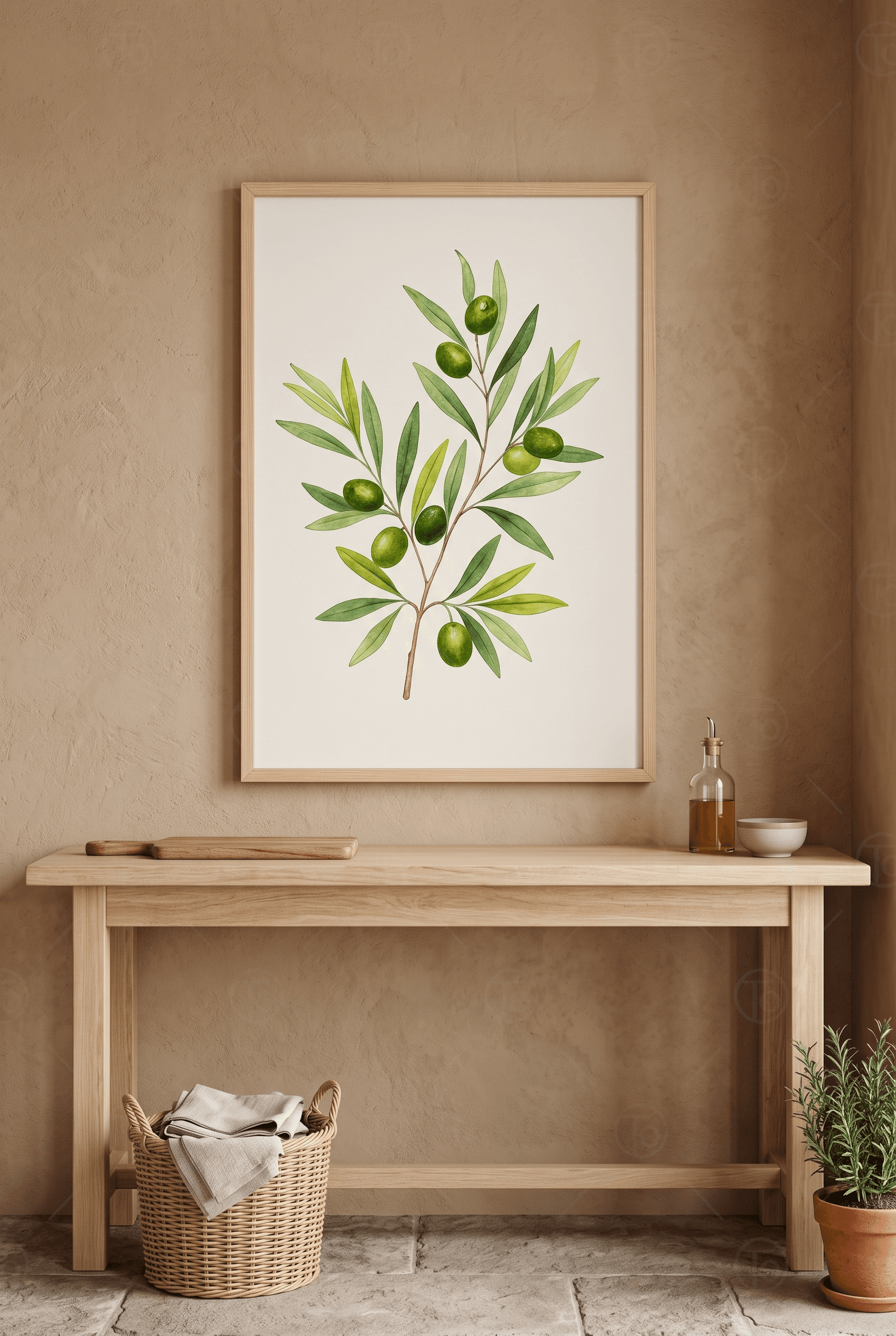 Zeytin Dalı — Botanik İllüstrasyon